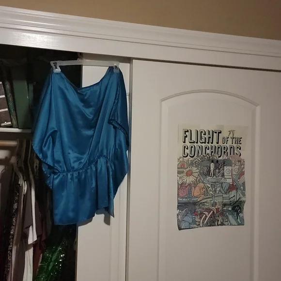 Blue Bwear Silk Embroidered Blouse - Picture 8 of 8